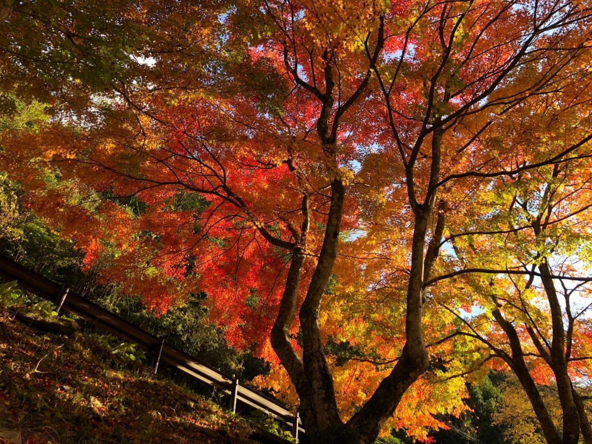 Kazuraya Hotel Miyoshi  Buitenkant foto