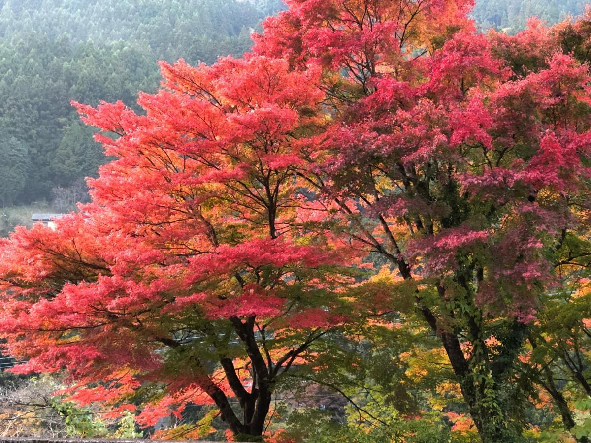 Kazuraya Hotel Miyoshi  Buitenkant foto