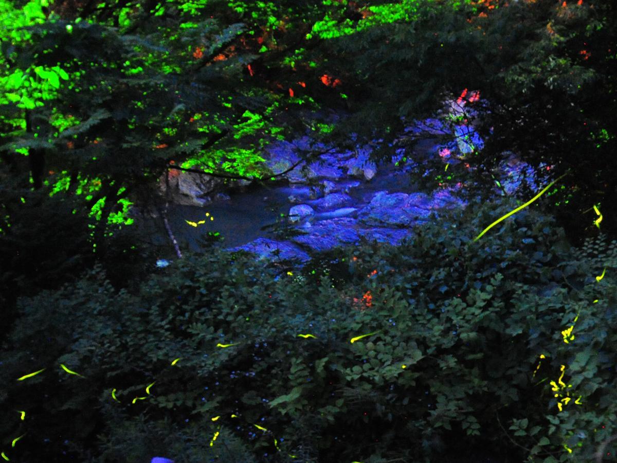Kazuraya Hotel Miyoshi  Buitenkant foto